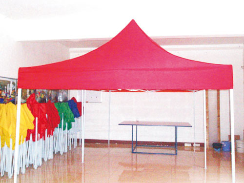 活動搭建協(xié)調(diào)